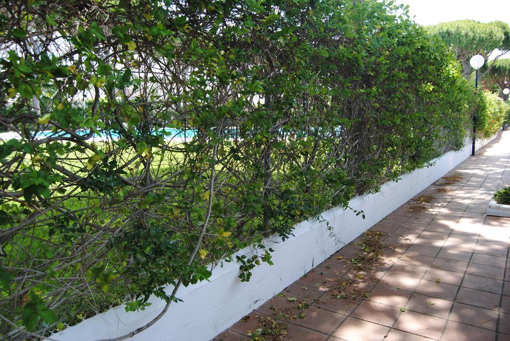 Chiclana Costa Apartman Chiclana de la Frontera Szoba fotó